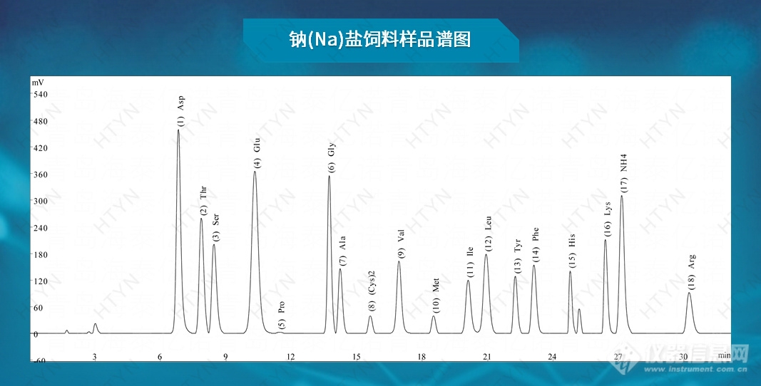 HT-1100 全自动氨基酸分析仪(图2)