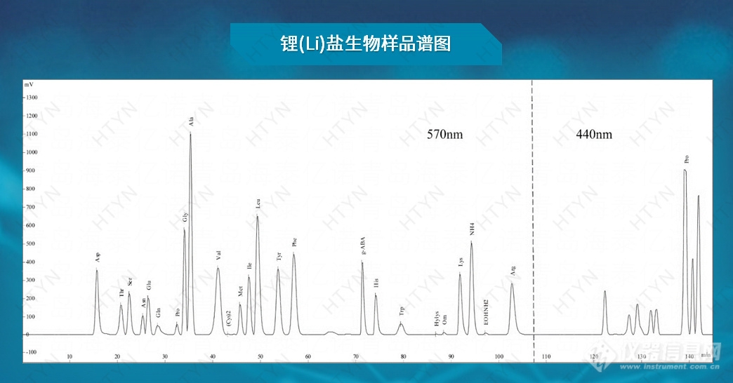 HT-1100 全自动氨基酸分析仪(图4)