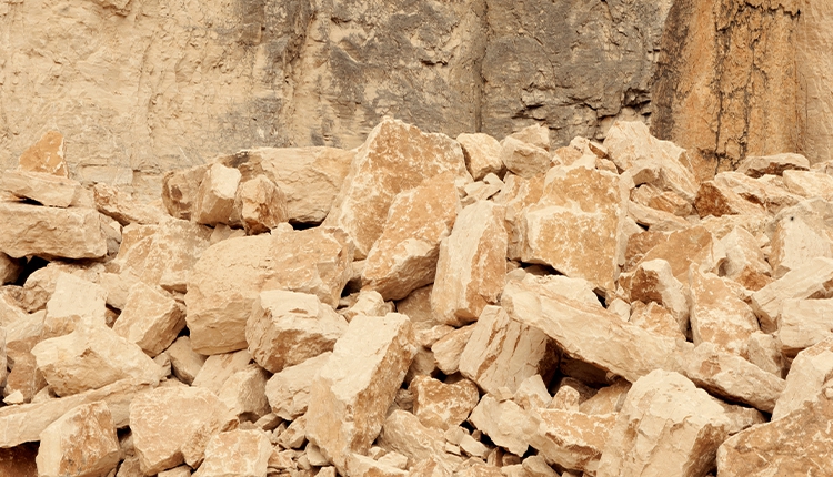 手持式TrueX矿石分析仪(图5)